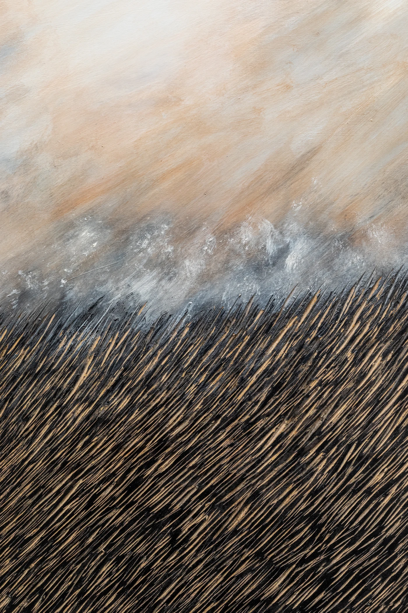 Char and field