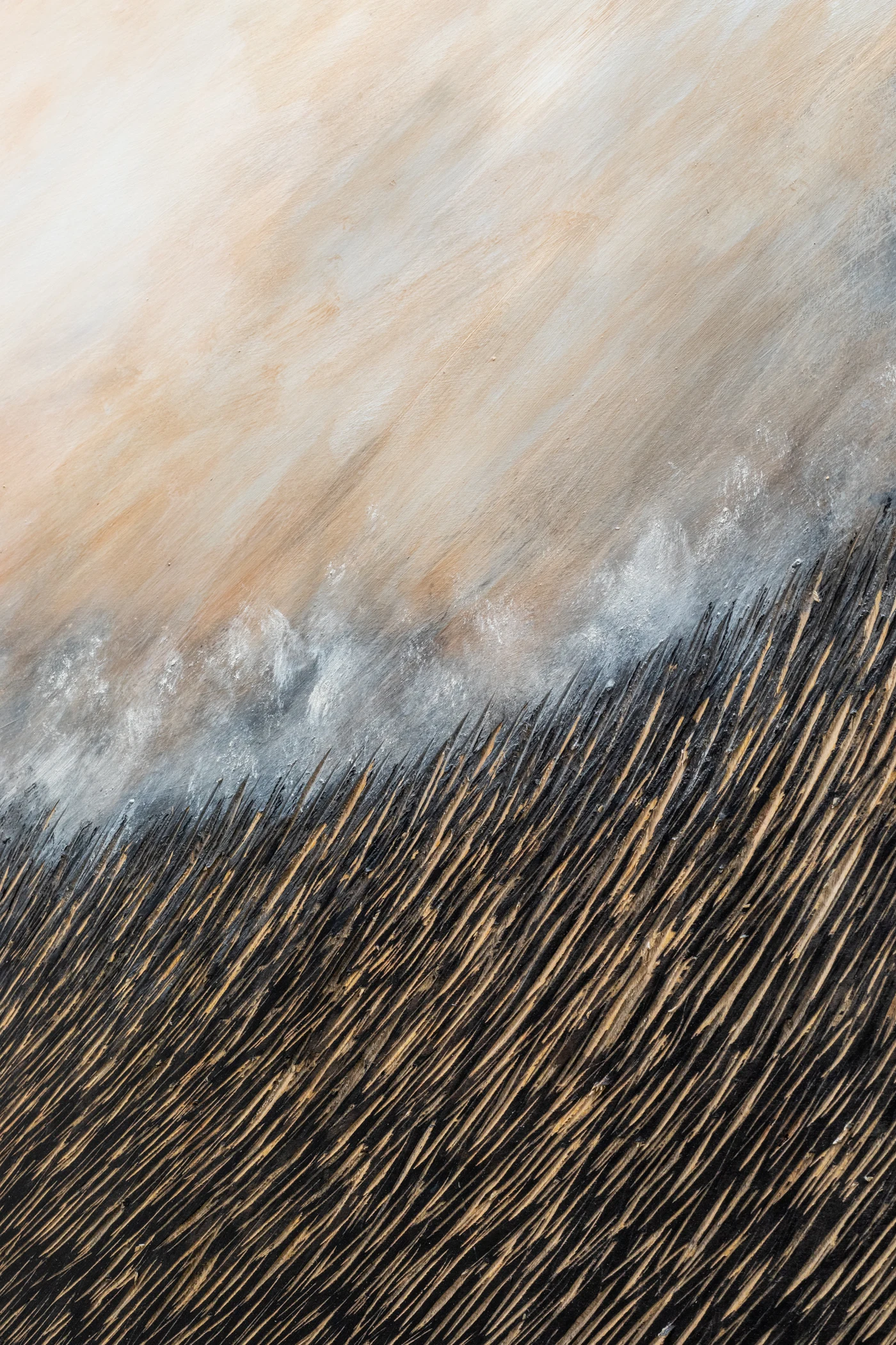 Char and field